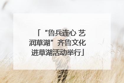 “鲁兵连心 艺润草湖”齐鲁文化进草湖活动举行