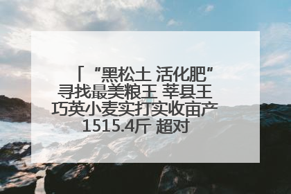 “黑松土 活化肥”寻找最美粮王 莘县王巧英小麦实打实收亩产1515.4斤 超对照田144斤！