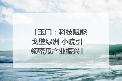 玉门：科技赋能戈壁绿洲 小院引领蜜瓜产业振兴