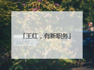 王红，有新职务