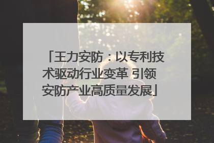 王力安防：以专利技术驱动行业变革 引领安防产业高质量发展