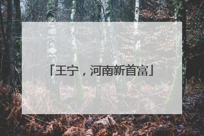 王宁，河南新首富