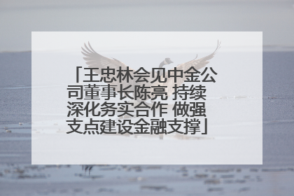 王忠林会见中金公司董事长陈亮 持续深化务实合作 做强支点建设金融支撑