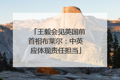 王毅会见英国前首相布莱尔：中英应体现责任担当