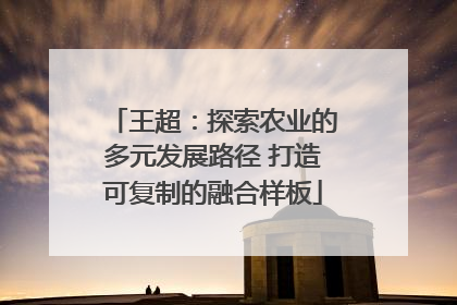 王超：探索农业的多元发展路径 打造可复制的融合样板