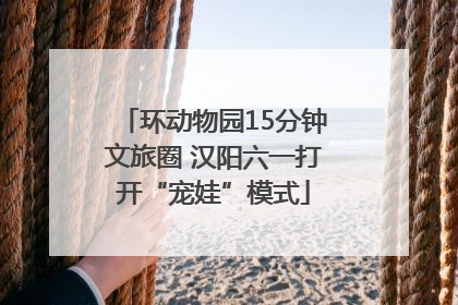 环动物园15分钟文旅圈 汉阳六一打开“宠娃”模式