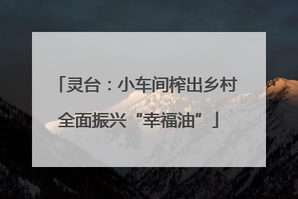 灵台：小车间榨出乡村全面振兴“幸福油”