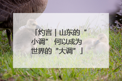 灼言｜山东的“小调” 何以成为世界的“大调”