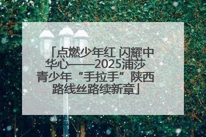 点燃少年红 闪耀中华心——2025浦莎青少年“手拉手”陕西路线丝路续新章