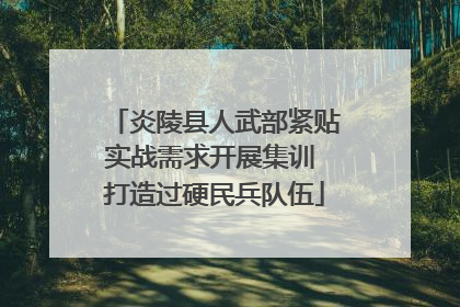 炎陵县人武部紧贴实战需求开展集训 打造过硬民兵队伍