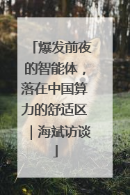 爆发前夜的智能体，落在中国算力的舒适区｜海斌访谈