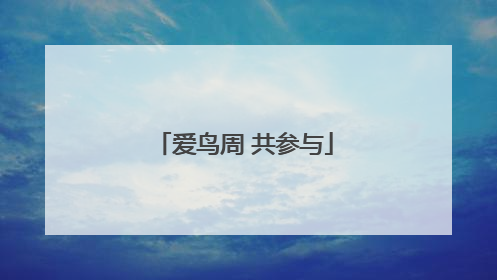 爱鸟周 共参与