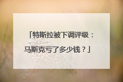 特斯拉被下调评级：马斯克亏了多少钱？