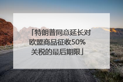 特朗普同意延长对欧盟商品征收50%关税的最后期限