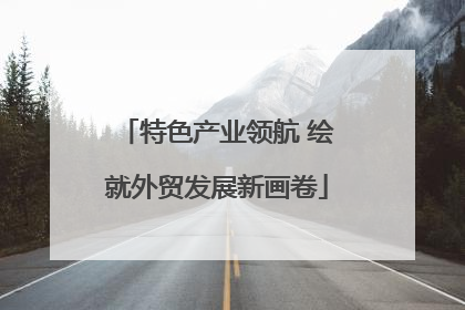 特色产业领航 绘就外贸发展新画卷