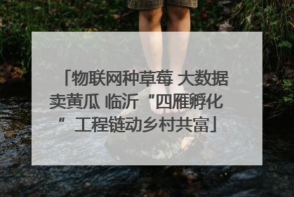 物联网种草莓 大数据卖黄瓜 临沂“四雁孵化”工程链动乡村共富