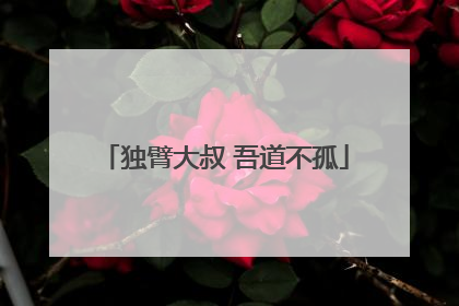 独臂大叔 吾道不孤