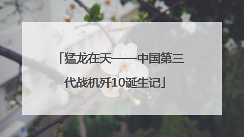 猛龙在天——中国第三代战机歼10诞生记
