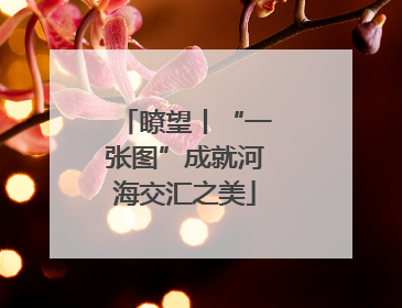 瞭望丨“一张图”成就河海交汇之美
