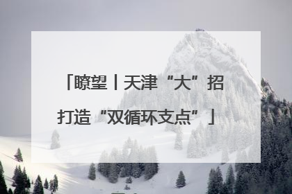 瞭望丨天津“大”招打造“双循环支点”