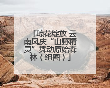 琼花绽放 云南凤庆“山野精灵”舞动原始森林（组图）