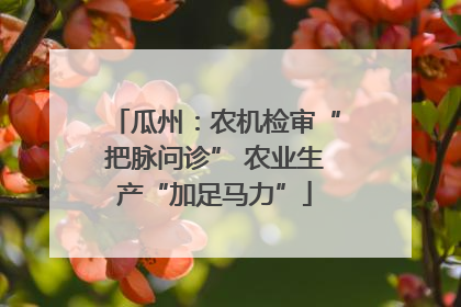瓜州：农机检审“把脉问诊” 农业生产“加足马力”