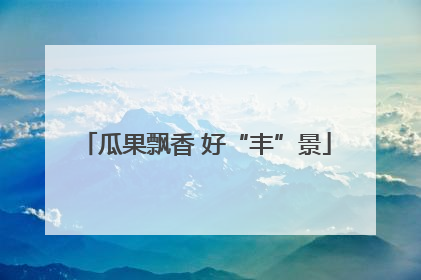 瓜果飘香 好“丰”景