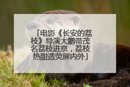 电影《长安的荔枝》导演大鹏带茂名荔枝进京，荔枝热甜透荧屏内外