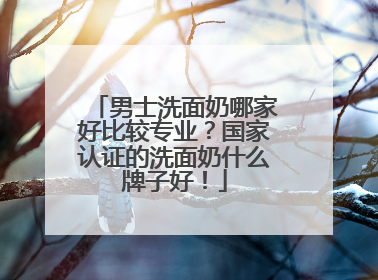 男士洗面奶哪家好比较专业？国家认证的洗面奶什么牌子好！