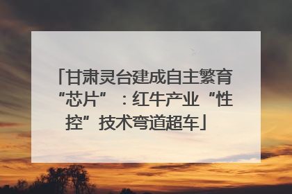 甘肃灵台建成自主繁育“芯片”：红牛产业“性控”技术弯道超车