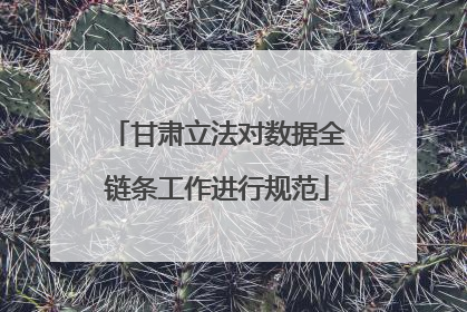 甘肃立法对数据全链条工作进行规范