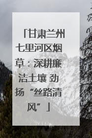 甘肃兰州七里河区烟草：深耕廉洁土壤 劲扬“丝路清风”