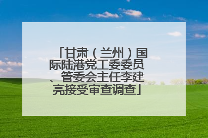 甘肃（兰州）国际陆港党工委委员、管委会主任李建亮接受审查调查