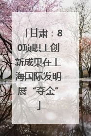 甘肃：80项职工创新成果在上海国际发明展“夺金”