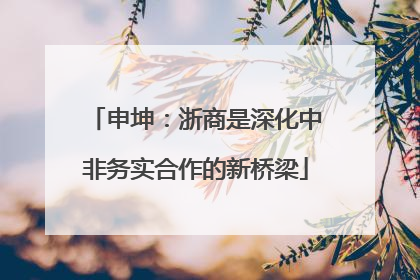 申坤：浙商是深化中非务实合作的新桥梁