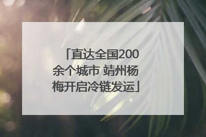 直达全国200余个城市 靖州杨梅开启冷链发运