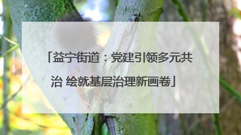 益宁街道：党建引领多元共治 绘就基层治理新画卷