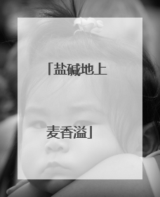 盐碱地上麦香溢