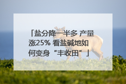 盐分降一半多 产量涨25% 看盐碱地如何变身“丰收田”