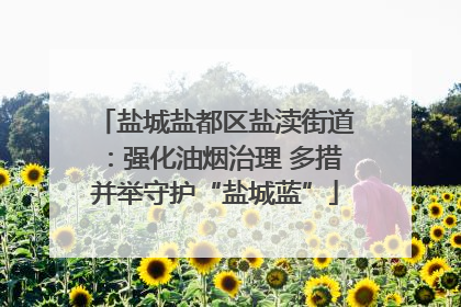 盐城盐都区盐渎街道：强化油烟治理 多措并举守护“盐城蓝”