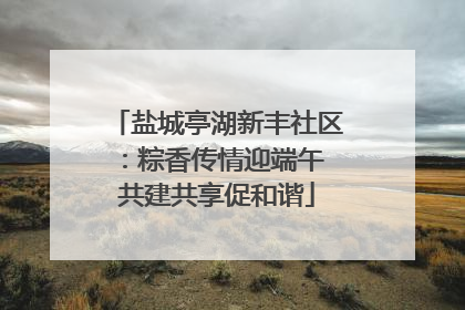 盐城亭湖新丰社区：粽香传情迎端午 共建共享促和谐