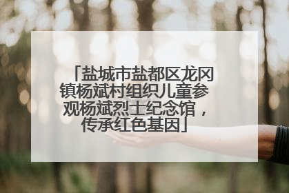 盐城市盐都区龙冈镇杨斌村组织儿童参观杨斌烈士纪念馆，传承红色基因