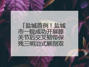 盐城首例！盐城市一院成功开展膝关节后交叉韧带保残三明治式解剖双束重建术