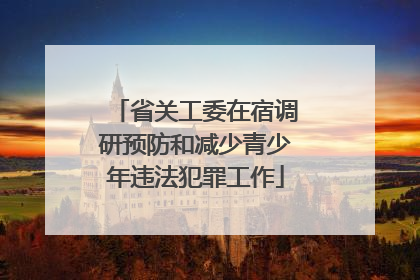 省关工委在宿调研预防和减少青少年违法犯罪工作
