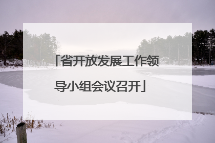 省开放发展工作领导小组会议召开