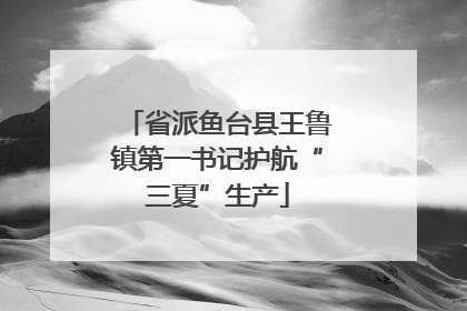 省派鱼台县王鲁镇第一书记护航“三夏”生产