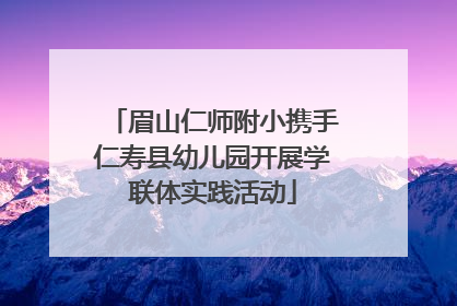 眉山仁师附小携手仁寿县幼儿园开展学联体实践活动