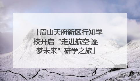 眉山天府新区行知学校开启“走进航空·逐梦未来”研学之旅