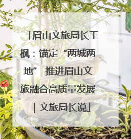 眉山文旅局长王枫：锚定“两城两地” 推进眉山文旅融合高质量发展｜文旅局长说