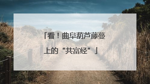 看！曲阜葫芦藤蔓上的“共富经”